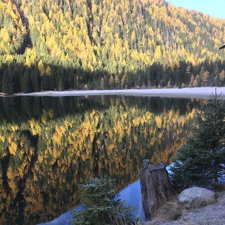 Vila Bio-Bauernhof Anawander Mariahof Exteriér fotografie